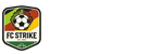 亚冠直播